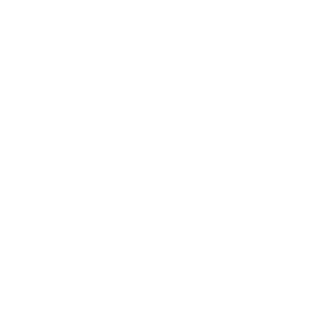 Bains de Baracci logo